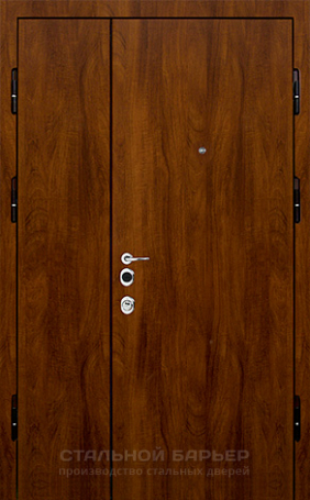 Тамбурная дверь №3